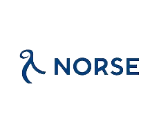 Norse logo with stylized blue emblem on the left.
